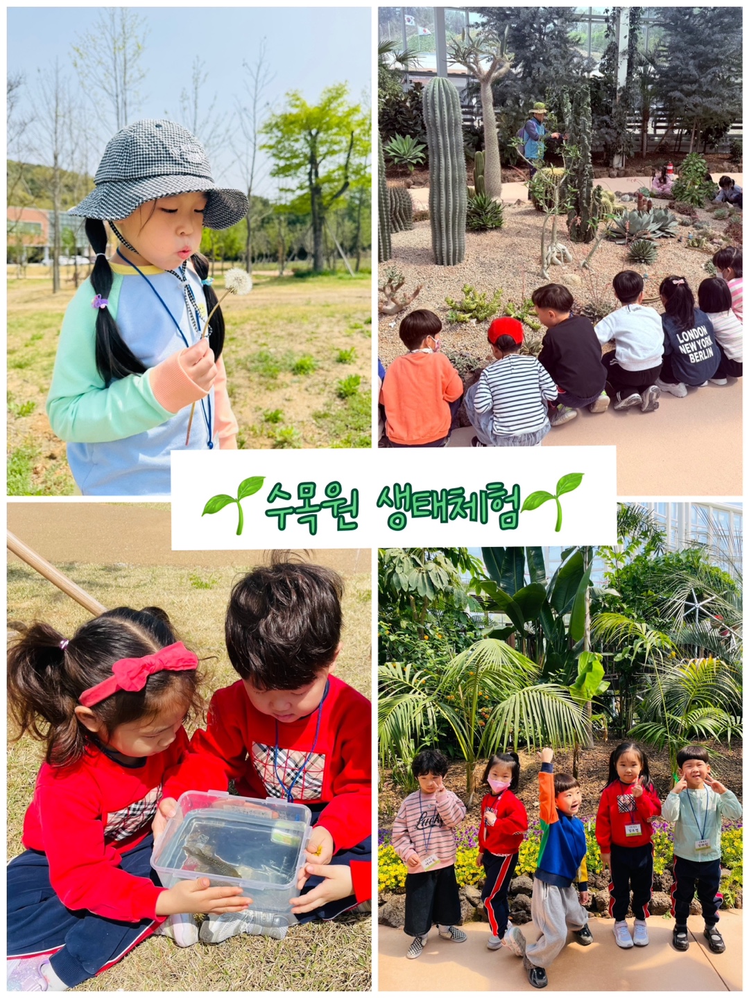 KakaoTalk_20250526_093804595_03.jpg