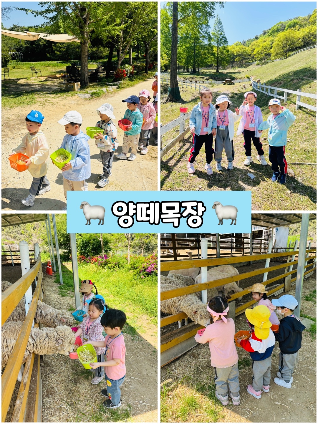 KakaoTalk_20250526_093804595_05.jpg