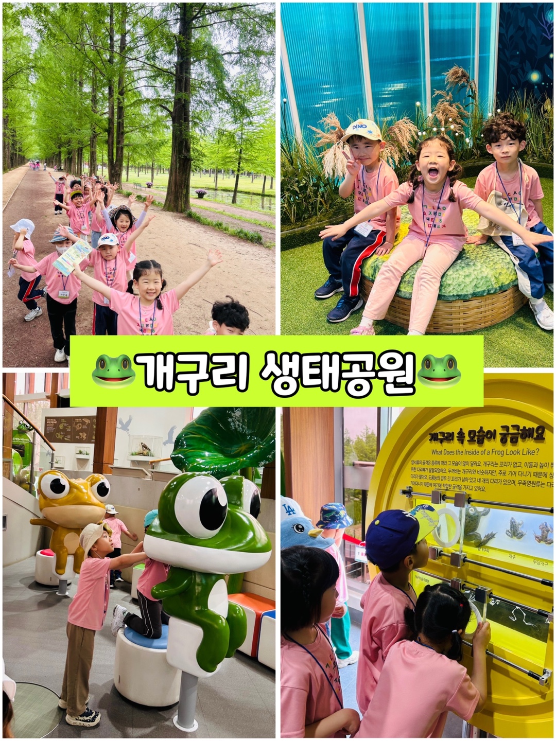 KakaoTalk_20250526_093804595_07.jpg